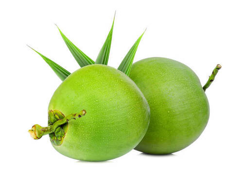 Coconut