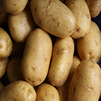 Potato